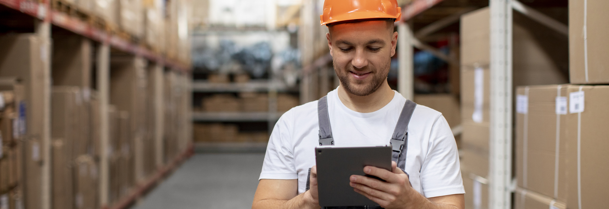 inventory management lithspos